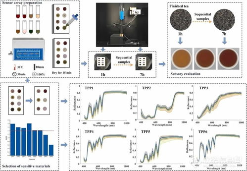 跨界融合 從紅茶發(fā)酵機(jī)理到計(jì)算機(jī)網(wǎng)絡(luò)技術(shù)的創(chuàng)新啟示